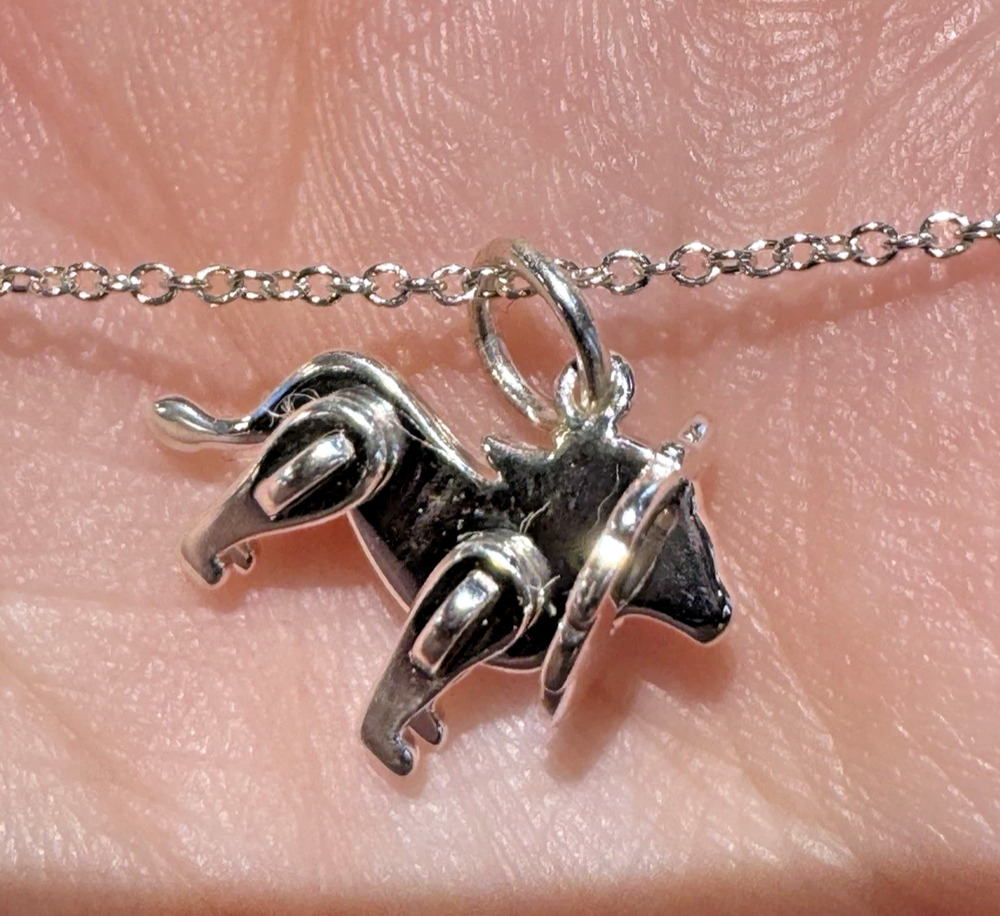Tiffany & Co. Rare Save the Wild Lion Pendant Necklace Sterling Silver